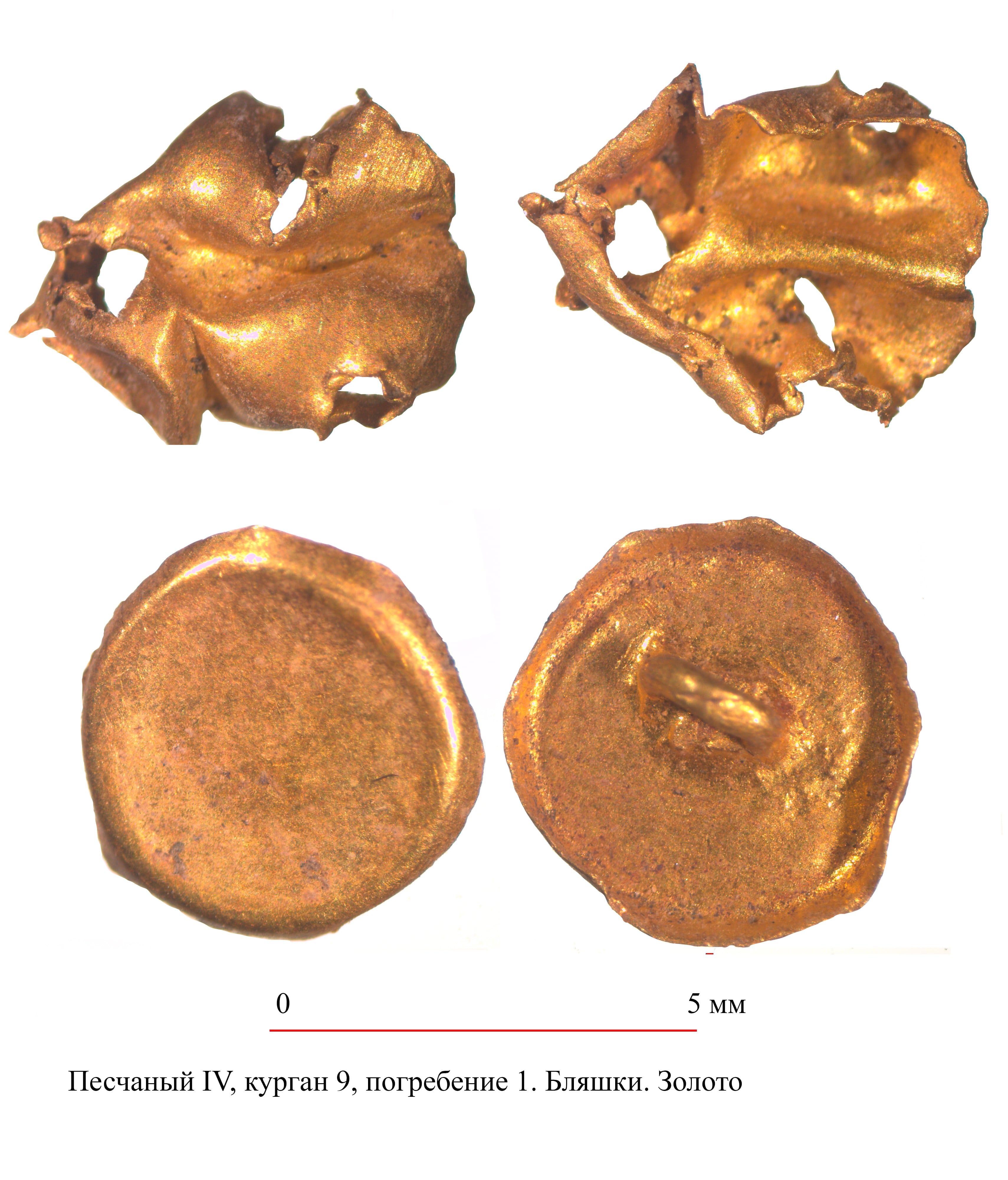 Степная археологическая экспедиция
