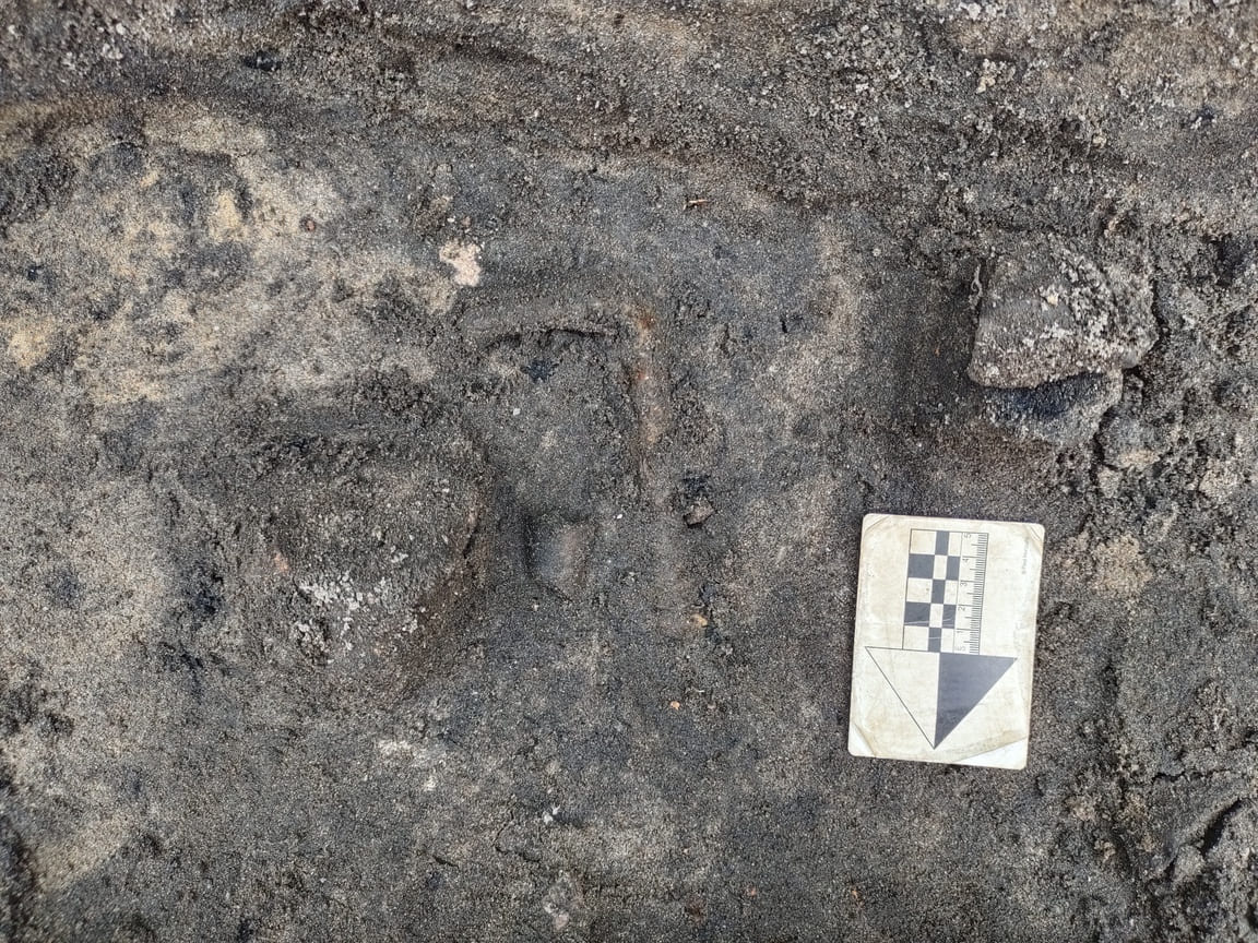 Раннесредневековая археологическая экспедиция