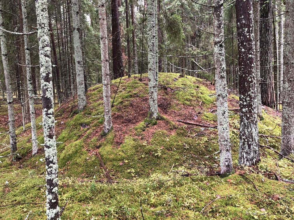 Раннесредневековая археологическая экспедиция