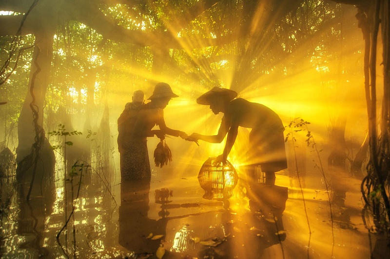 Выставка избранных фотографий победителей XI Международного конкурса фотожурналистики имени Андрея Стенина