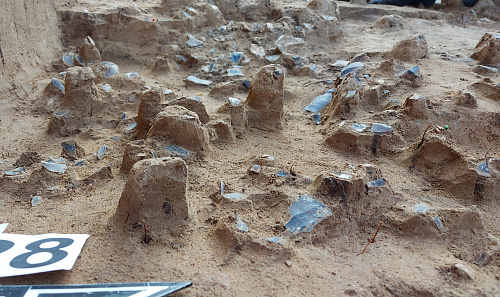 Нижнедонская археологическая экспедиция